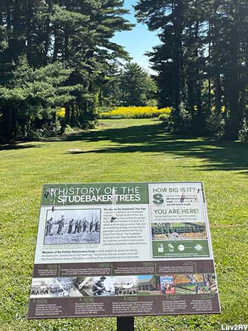 Sign about Studebaker Trees.