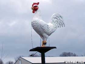 Chicken statue.
