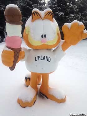 Upland Garfield.