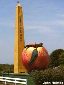 The Big Peach.