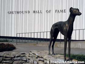 Greyhound Hall of Fame.