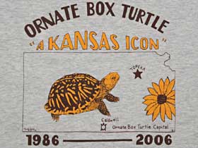 Ornate Box Turtle t-shirt.  