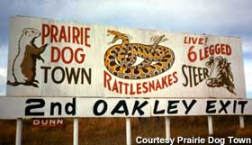 Billboard for Prairie Dog Town.