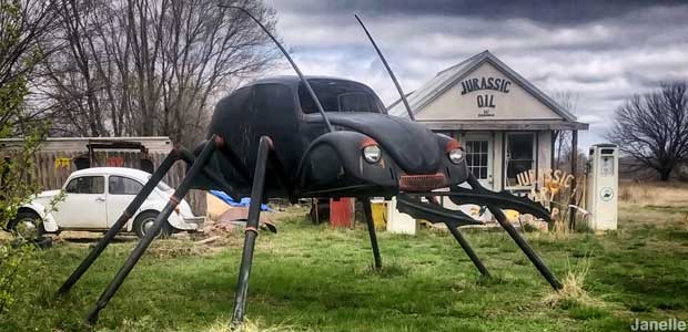 VW beetle.