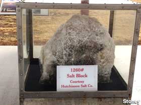 1260 lb. salt block.