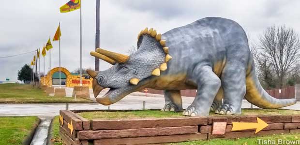 Triceratops.