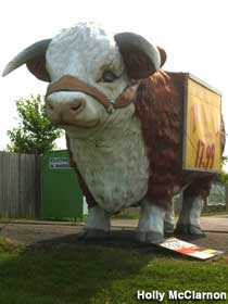 Bull statue.