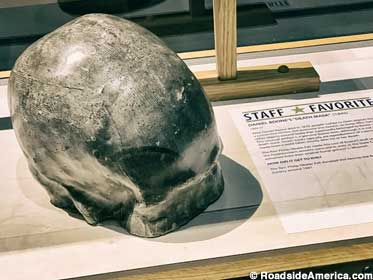 Skull of Daniel Boone, or whoever it was that Kentucky dug up in 1845.