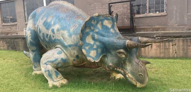 Triceratops from NY World's Fair.