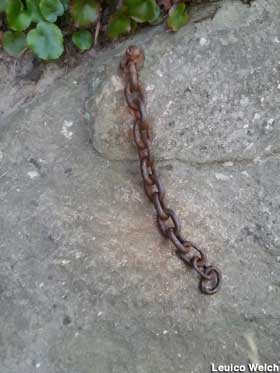 Old chain in a rock.