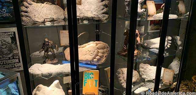 Bigfoot prints from ten different states fill display cases.