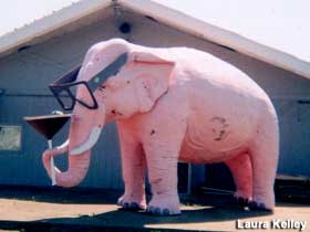 Pink Elephant with Martini Glass.
