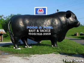 Bait and Tackle Bull.