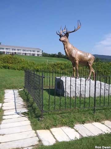 Elk War memorial.