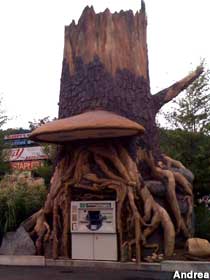 Tree stump ATM.