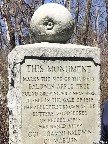 Baldwin Apple Monument.