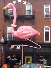 Pink Flamingo.