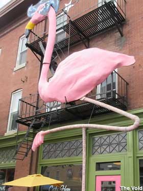 Pink Flamingo.