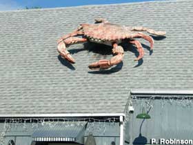 Big crab statue.