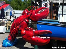 Big lobster.