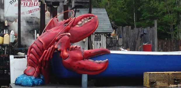 Lobster attacking boat.
