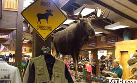 Trading post Moose.