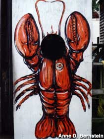 Lobster Photo Op