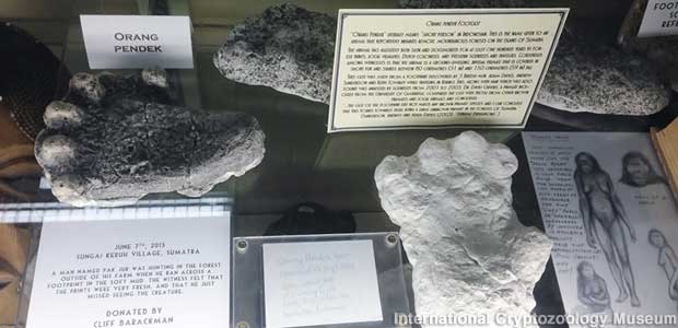 Footprints and hair samples from Orang Pendek, the mini-Bigfoot of Southeast Asia.