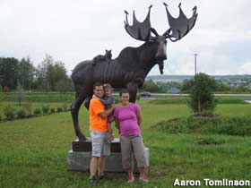 Moose sculpture.
