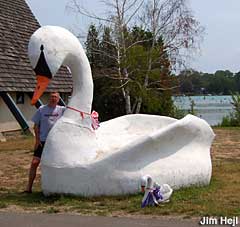 Giant Swan, Elk Rapids, Michigan.