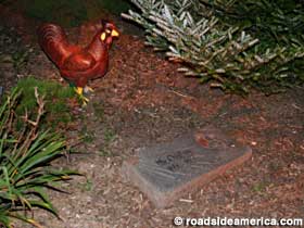 Grave of the plastic legged rooster.