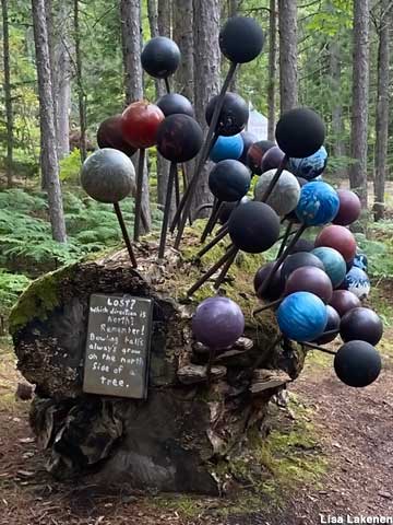 Sign calls attention to bowling ball growth on fallen log.