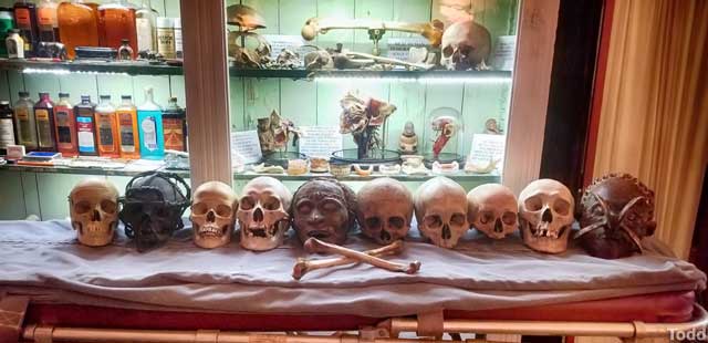 Anatomy of Death Museum.