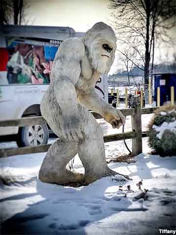 Sasquatch-Bigfoot.