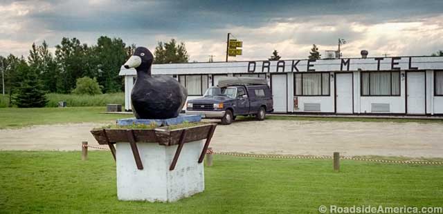Drake Motel duck.