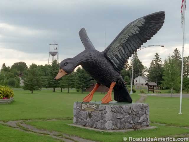 Black duck statue.