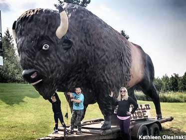 Giant buffalo.