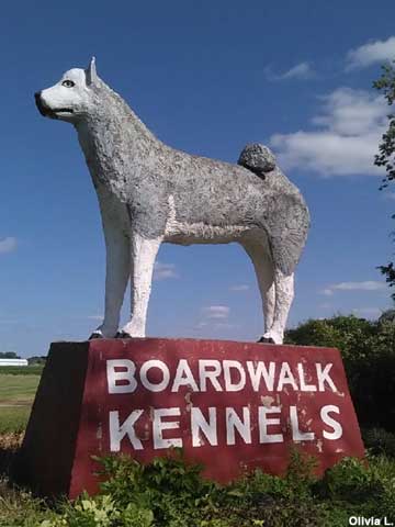 Boardwalk Kennels statue.