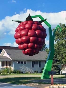 World's Largest Raspberry.