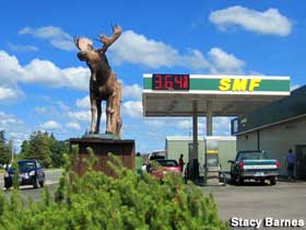 Little gas station moose.