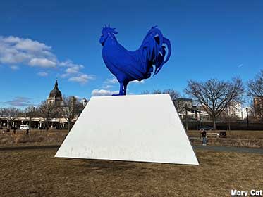 Blue rooster.