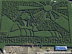 Sever's Corn Maze.