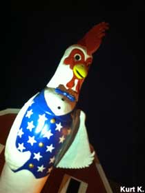 Rooster at night.
