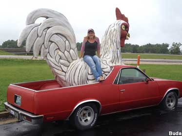 Chicken car.