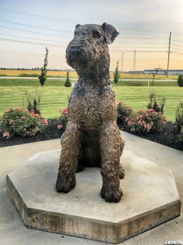 Dog statue.