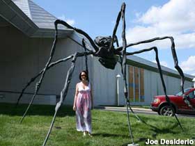 Spider Sculpture.