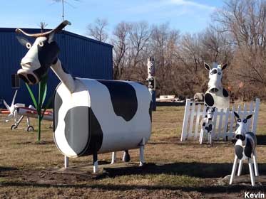 Cow scrap art.