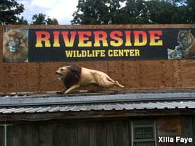 Riverside Wildlife Center sign.