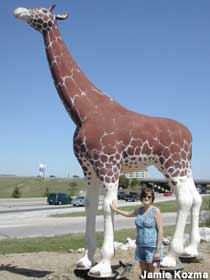 Giraffe, survivor of Noah's Ark.