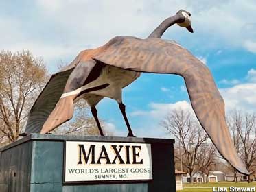 Maxie the Goose.